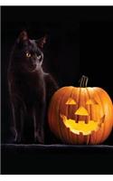 Halloween Black Cat Journal