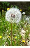 Journal Dandelion Seeds Flower