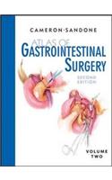 Atlas of Gastrointestinal Surgery, 2/e