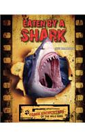 Eaten by a Shark