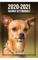 2020-2021 Agenda Settimanale Chihuahua