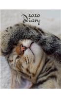 2020 Diary