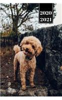 Poodle Dog Calendar Week Planner 2020 / 2021 - Happy Smile: Pup Puppy Doggie Pet Owner Weekly Bullet Journal Notebook Diary in 6" x 9" Inch Pocket Size