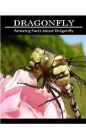 Amazing Facts about Dragonfly