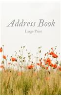 Address Book Large Print