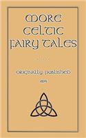 More Celtic Fairy Tales