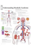 Understanding Metabolic Syndrome Paper Poster: Wall Chart