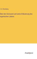 Über den Grünsand und seine Erläuterung des organischen Lebens