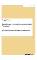 Beeinflussen extrinsische Anreize soziales Verhalten?: Eine modelltheoretische Betrachtung des Verdrängungseffekts