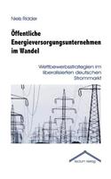 Öffentliche Energieversorgungsunternehmen im Wandel