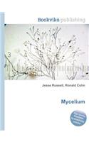 Mycelium