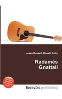 Radames Gnattali