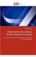 Elaboration Des Metaux Ferreux (Fontes Et Aciers)