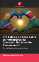 Um Estudo de Caso sobre as Percepções da Comissão Nacional de Planeamento