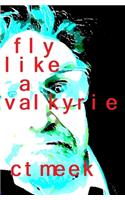 Fly Like a Valkyrie