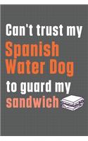 Can't trust my Spanish Water Dog to guard my sandwich: For Spanish Water Dog Breed Fans