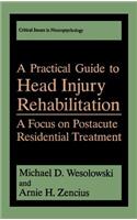 A Practical Guide to Head Injury Rehabilitation