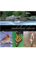 Cumberland Odyssey