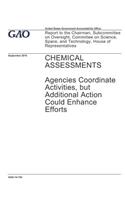 Chemical Assessments