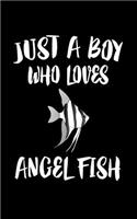 Just A Boy Who Loves Angel Fish: Animal Nature Collection