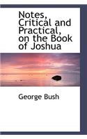 Notes, Critical and Practical, on the Book of Joshua