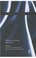 Pathways to Sexual Aggression