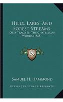 Hills, Lakes, And Forest Streams