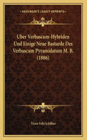 Uber Verbascum-Hybriden Und Einige Neue Bastarde Des Verbascum Pyramidatum M. B. (1886)