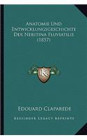 Anatomie Und Entwicklungsgeschichte Der Neritina Fluviatilis (1857)
