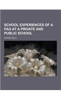 School Experiences of a Fag at a Private and Public School