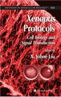 Xenopus Protocols: Cell Biology and Signal Transduction. Methods in Molecular Biology, Volume 322.