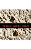 Secret World of Insects 2018