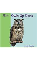 Owls Up Close / Los Buhos