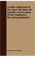 A Letter Addressed to His Grace the Duke of Norfolk: On Occasion of Mr. Gladstone's Recent Expostulation