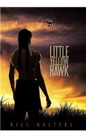 Little Yellow Hawk