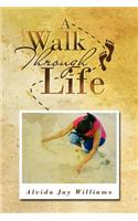 A Walk Through Life