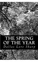 Spring of the Year