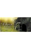 Christ Sunrise Easter Offering Envelope (Pkg of 50)