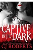 Captive in the Dark