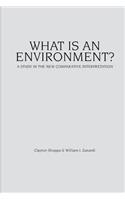 What Is an Environment?
