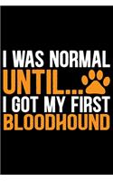 I Was Normal Until I Got My First Bloodhound