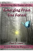 Emerging from the Forest