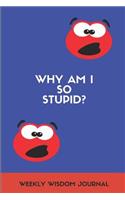 Why Am I So Stupid? Weekly Wisdom Journal
