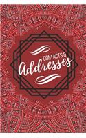 Contacts & Addresses