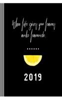 2019 - When Life Gives You Lemons Make Lemonade
