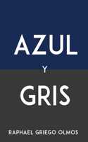 Azul Y Gris
