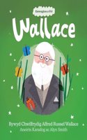 Wallace: Bywyd Chwilfrydig Alfred Russel Wallace