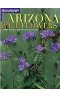 Arizona Wildflowers