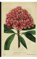 Botanical Print Journal