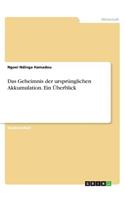 Das Geheimnis der ursprünglichen Akkumulation. Ein Überblick